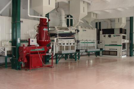 Paddy Seed Processing Line